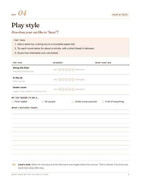 Sample workbook page: Day 4, Play style, with a scoring table for floor, air and under-cover play