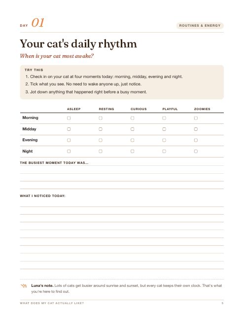 Sample workbook page: Day 1, Your cat's daily rhythm, with a morning to night observation table